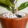 Okak Vertical Smart Self-watering Planter Pots with Holes Orchid & Succulent Planters for Indoor/Outdoor, 2 Pack(S+M),4 Colors - 4 of 4