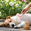 BABYYER Dog Undercoat Rake - 150g Lightweight Pet Grooming Tool Dematting Comb | Portable Tool And Dematting Comb | Shedding Brush - 2 of 4