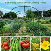 7FT Metal Garden Arch Trellis, Garden Arch Plant Support for Climbing Plants, Large Tunnel Trellis with Clips & Nylon Net for Vegetables Flowers - 4 of 4