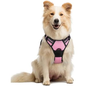 rabbitgoo Dog Harness No Pull with 2 Leash Clips, Control Handle for Medium Sized Dogs, Pink, M - 1 of 1