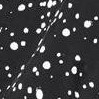 black white dot