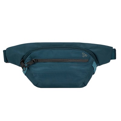 insulated fanny pack target