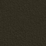Classic Velvet Loden