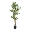 Cesicia 69" Artificial Ficus Tree with Black Plastic Pot, Fake Plant for Home or Office Decor - 2 of 4