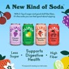 OLIPOP Fruity Fun Variety Pack Prebiotic Soda - 12pk/12 fl oz Cans - 3 of 4