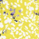 primrose yellow leaf