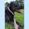 Country Brook Petz  Martingale Dog Collar Floral Collection with 8 Charming Designs - 2 of 4