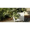 Ultimate Innovations Self-Watering Square Indoor Outdoor Planter Box with Trellis 9.84"x9.84"x40.75" - 2 of 2