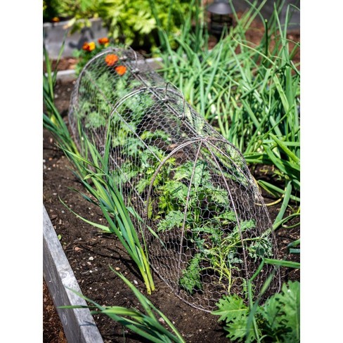 Gardener's Supply Company Chicken Wire Cloche Garden Plot Plants Cover  Protector | Sturdy Arch Metal Tunnel Cage Flowerbeds And Seedlings Garden  Protection From Wild Animals | (3-in-1 Set) Extra Large - Silver : Target