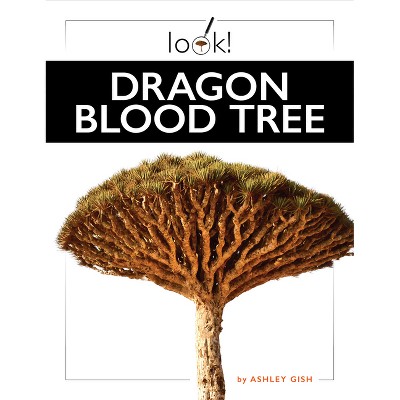 Dragon Blood Tree - by  Ashley Gish (Paperback)