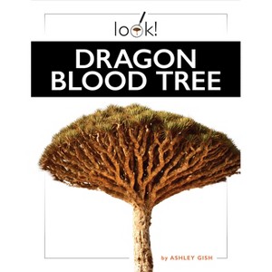 Dragon Blood Tree - by  Ashley Gish (Paperback) - 1 of 1
