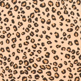 classic leopard