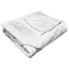 Warner Bros. Looney Tunes Tweety Bird Cocoa Silk Touch Throw Blanket 50x60 Inches - 4 of 4