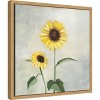 Amanti Art Sunny Blooms I (Sunflower) by Julia Purinton Canvas Wall Art Print Framed 16 x 16-in. - 2 of 4