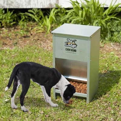 Pet Lodge Galvanized Steel Automatic Dog Feeder, 50 lbs Capacity