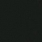 skull crossbones black