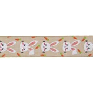 Northlight Natural Brown Spring Easter Wired Craft Ribbon 2.5" x 10 Yards - 1 of 3