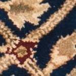 blue/gold