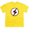Boys' Short Sleeve Flash Kid Flash Logo T-Shirt - 2 of 4