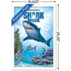Trends International Shark Week - Shark Adventure Framed Wall Poster Prints - 3 of 4
