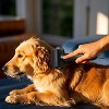 BABYYER Dog Undercoat Rake - 150g Lightweight Pet Grooming Tool Dematting Comb | Portable Tool And Dematting Comb | Shedding Brush - 3 of 4