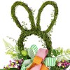 Northlight Twig and Vine Easter Bunny Silhouette Artificial Wreath - 23" - 4 of 4