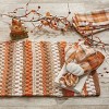 Park Designs Pumpkin Seed Chindi Placemat Set of 4 - 2 of 3