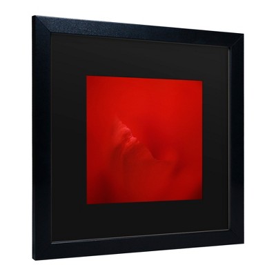 Trademark Fine Art -Lotte Gronkjar 'All Red' Matted Framed Art