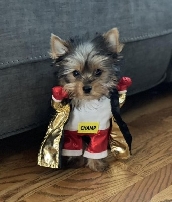 Guest review image 2 of 2, zoom in