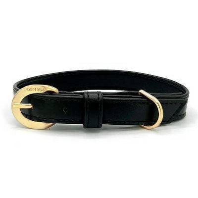 black/gold