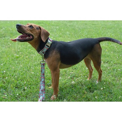 Country Brook Petz Premium Vintage Roses Dog Collar Target