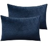 2 Pack Zippered Velvet Pillowcases, Super Soft and Cozy Luxury Fuzzy Flannel Pillow Cases - NTBAY - 4 of 4