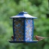 Nature's Way Products Paisley Sky Gazebo Bird Feeder - Blue (3.7 Quart) - 3 of 3