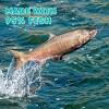 Boat To Bowl Cod and Trout Seafood Fish Flavor Food Topper Wet Cat and Dog Food - 2.46oz - 4 of 4