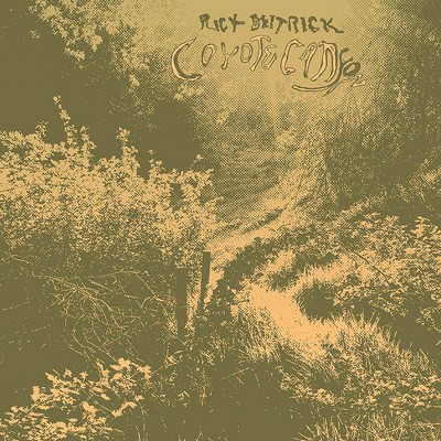 Rick Deitrick - Coyote Canyon (LP) (Vinyl)