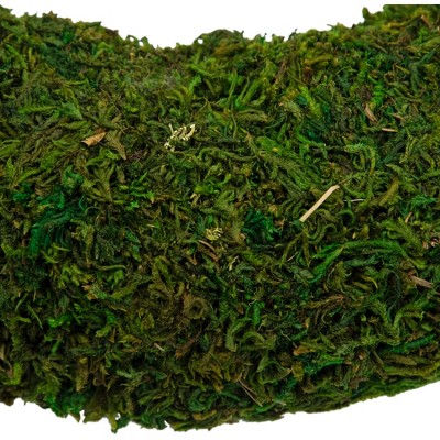Green Reindeer Moss Artificial Floral Spring Wreath, 13.7"