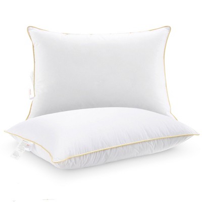 Cheer Collection Luxurious Gel Fiber Filled Bed Pillows Set of 2