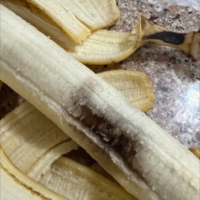 Guest review image 1 of 3, zoom in