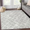 Acekool Geometric  Rug - Machine Washable Non-Slip Indoor Carpet for Living Room, Bedroom, Nursery - 2 of 4