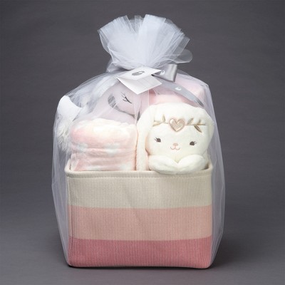 Welcome Home Baby Gift : Target