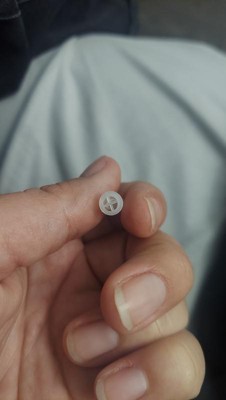 Guest review image 1 of 1, zoom in