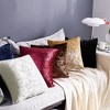 Deconovo Velvet Throw Pillow Covers 2 Pack with Hidden Zipper - 3 of 4