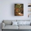 Trademark Fine Art -Jai Johnson 'Autumn Forest 2' Canvas Art - 2 of 4