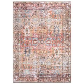 World Rug Gallery Transitional Distressed Machine Washable Non Slip Area Rug