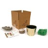 Van Zyverden Hyacinth PreChilled Kit Jan Bos Bulb with Iron Brass Textured Finish Planter - 2 of 4