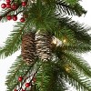 National Tree Company Pre-Lit Artificial Christmas Garland, Green, Snowy Green, White Lights, With Pine Cones, Berry Clusters, Plug In,6 Feet - 3 of 4