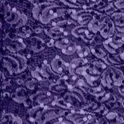 midnight violet