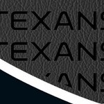 houston texans