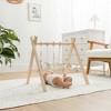 Wooden Baby Play Gym Set, Interactive Activity Center Hanging Bar with Gym Toys By Comfy Cubs - 2 of 4