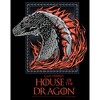 Women's Game of Thrones: House of the Dragon Fire Dragon Portrait T-Shirt - image 2 of 4